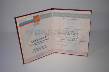 Аттестат За 11 Класс 2010г Серебро в Грозном